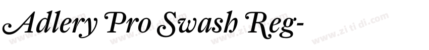 Adlery Pro Swash Reg字体转换